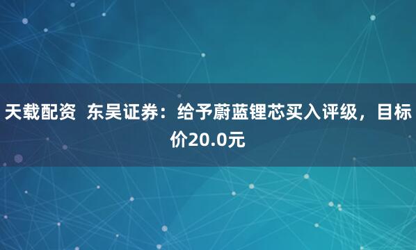 天载配资  东吴证券：给予蔚蓝锂芯买入评级，目标价20.0元