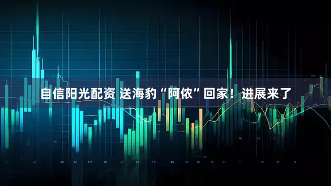 自信阳光配资 送海豹“阿侬”回家！进展来了